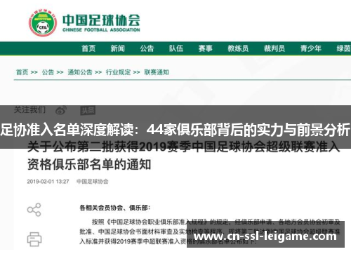 足协准入名单深度解读：44家俱乐部背后的实力与前景分析