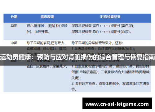 运动员健康：预防与应对肾脏损伤的综合管理与恢复指南
