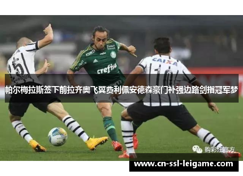帕尔梅拉斯签下前拉齐奥飞翼费利佩安德森豪门补强边路剑指冠军梦